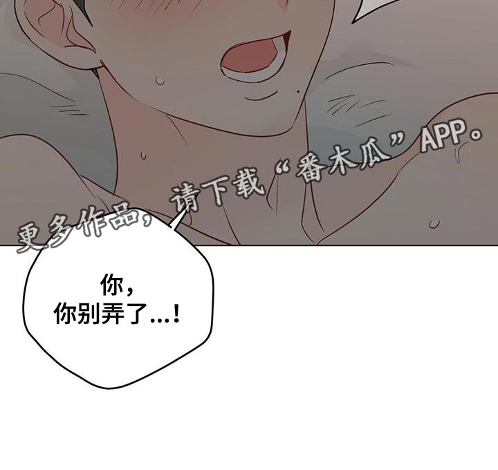 奇怪的梦境漫画,第142章：【第三季】很可爱4图