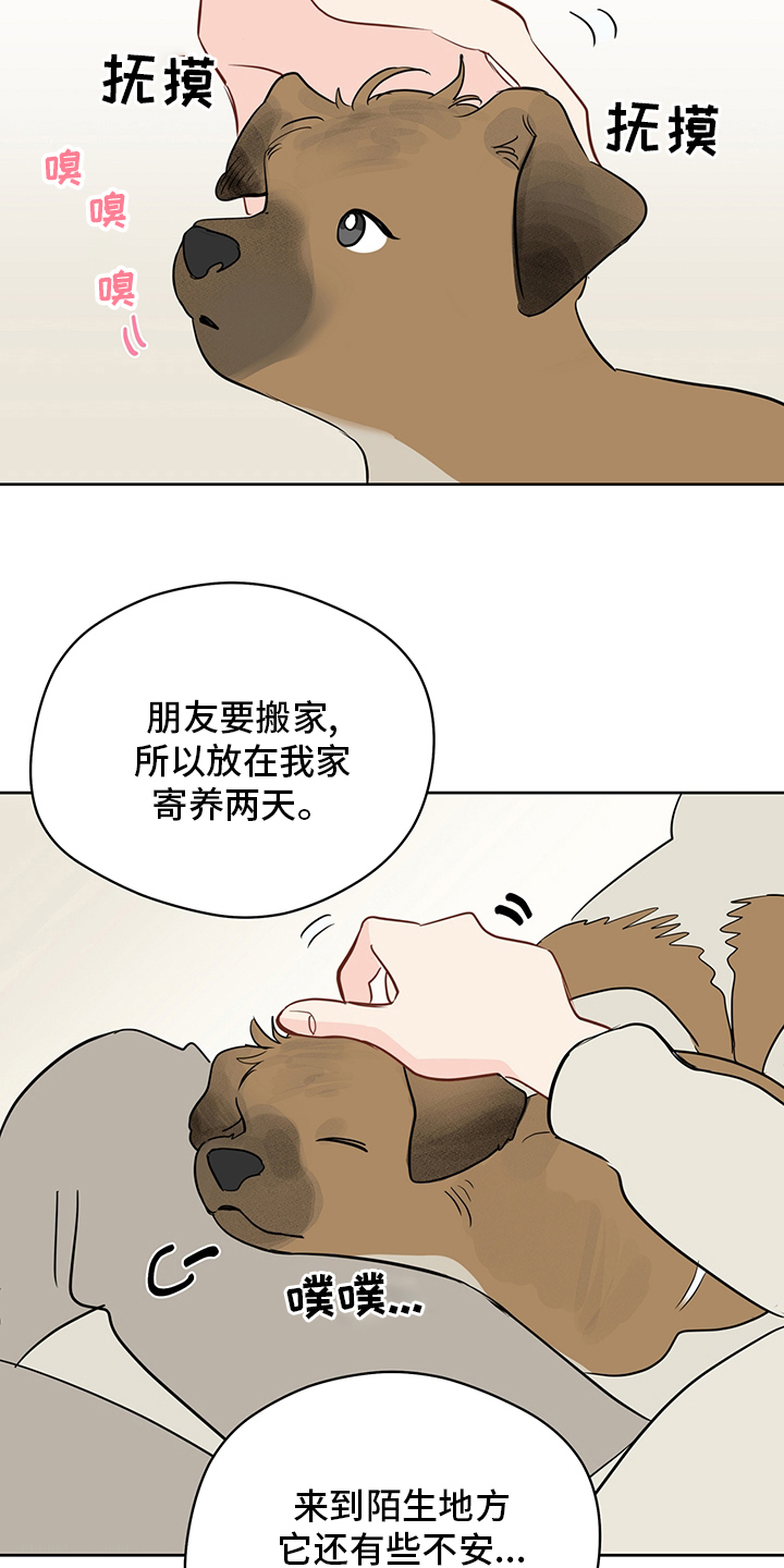 奇怪的梦境漫画,第78章：【第二季】冬柏4图