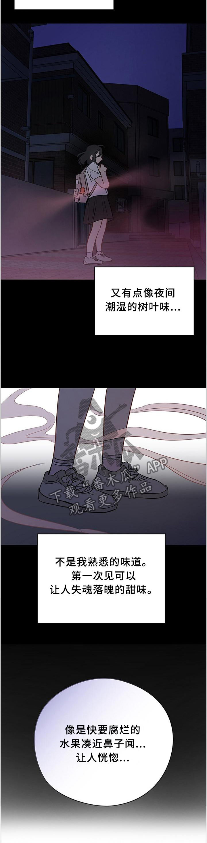 奇怪的梦境漫画,第45章：计划3图