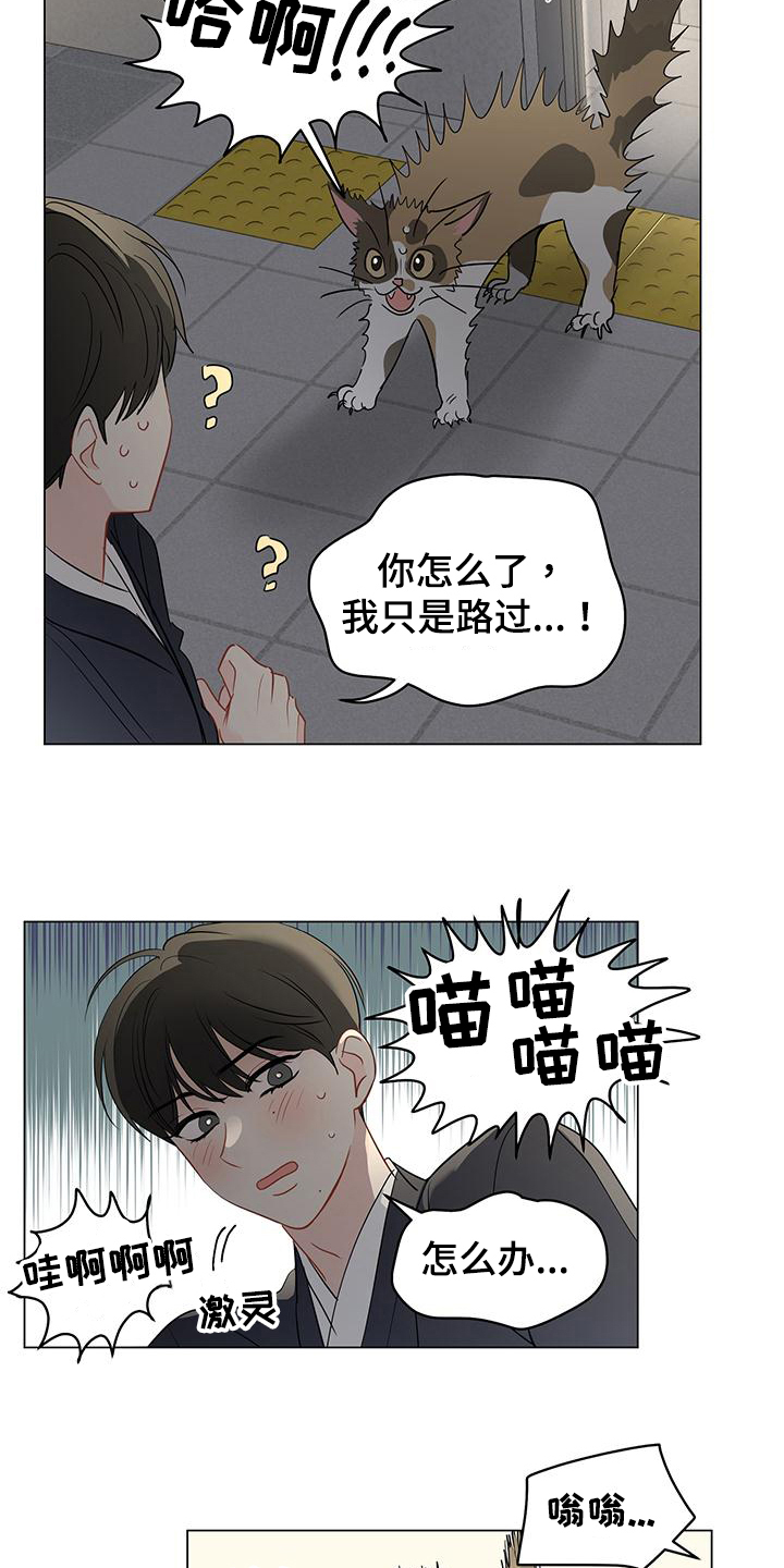 奇怪的梦境漫画,第97章：【第三季】回头1图