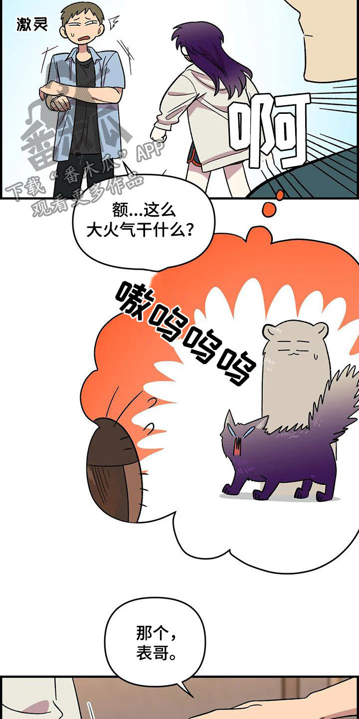 雨花石漫画,第75章：【第二季】实力碾压4图