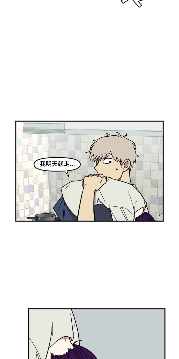 雨后天晴漫画,第5章：明天就走5图