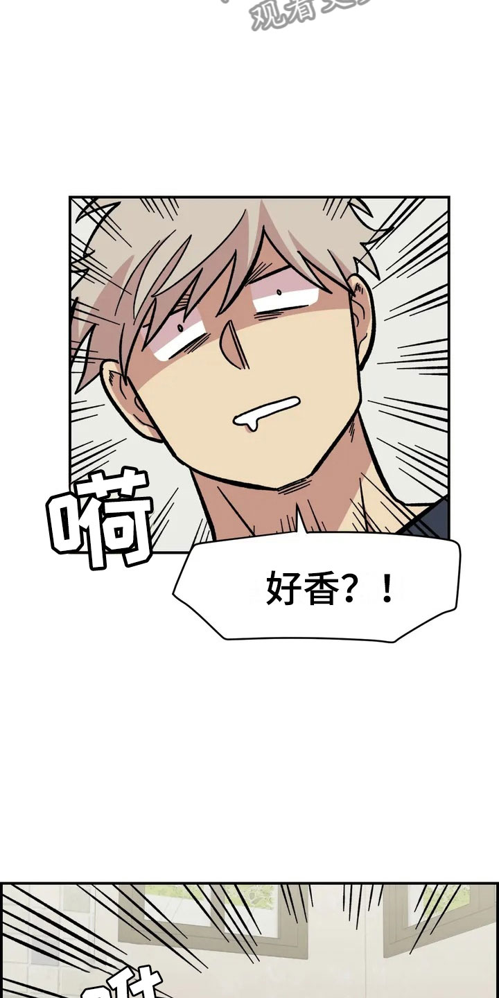 雨花石漫画,第4章：收留5图