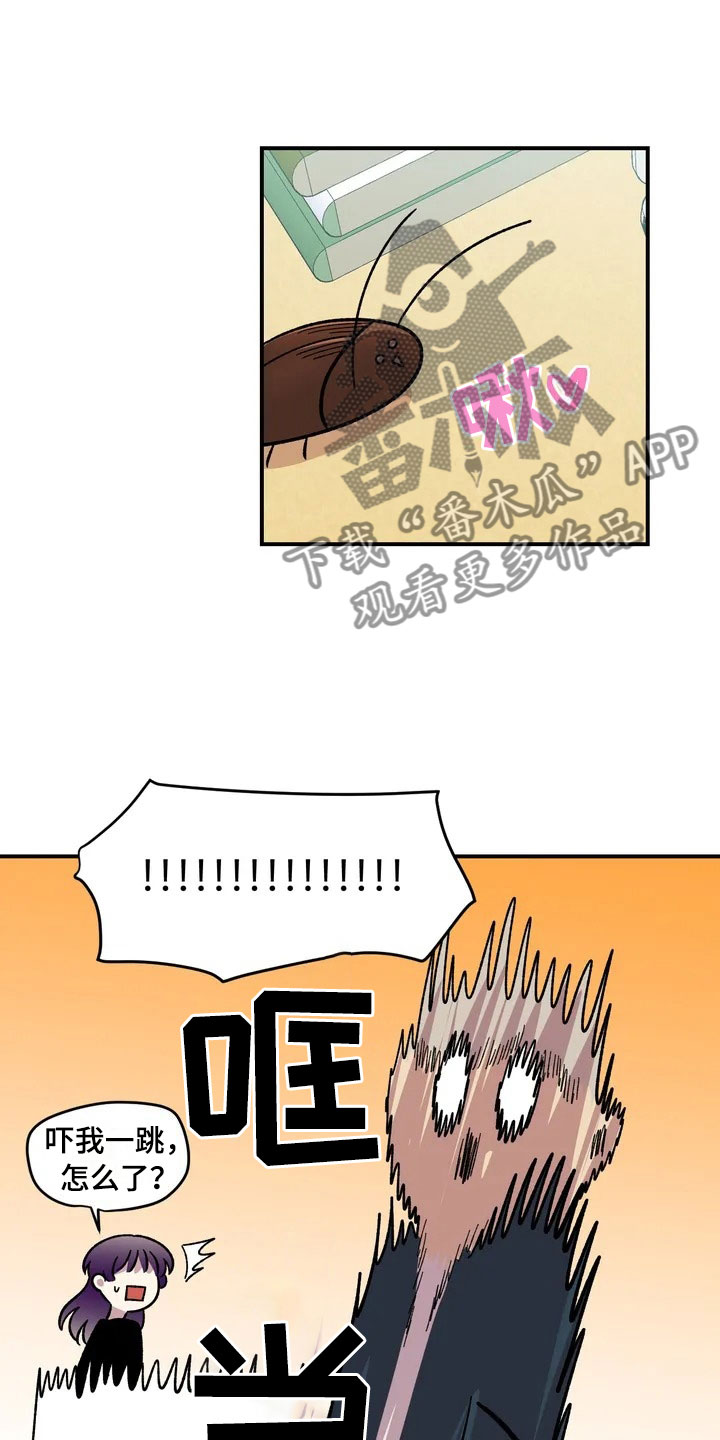 雨后天晴漫画,第17章：自由的生命体1图