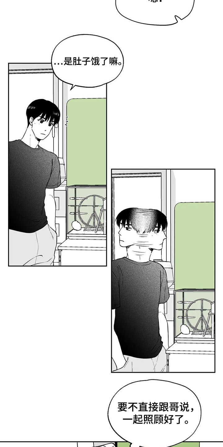 遗失的戒指漫画,第103章：【第二季】搬走3图