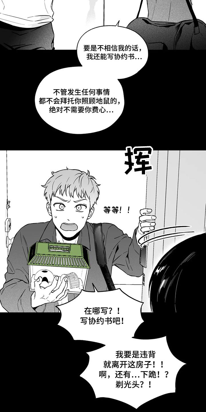 遗失的戒指漫画,第98章：【第二季】规则5图