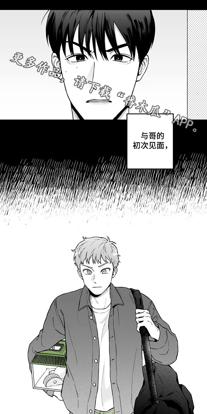 遗失的戒指漫画,第98章：【第二季】规则1图