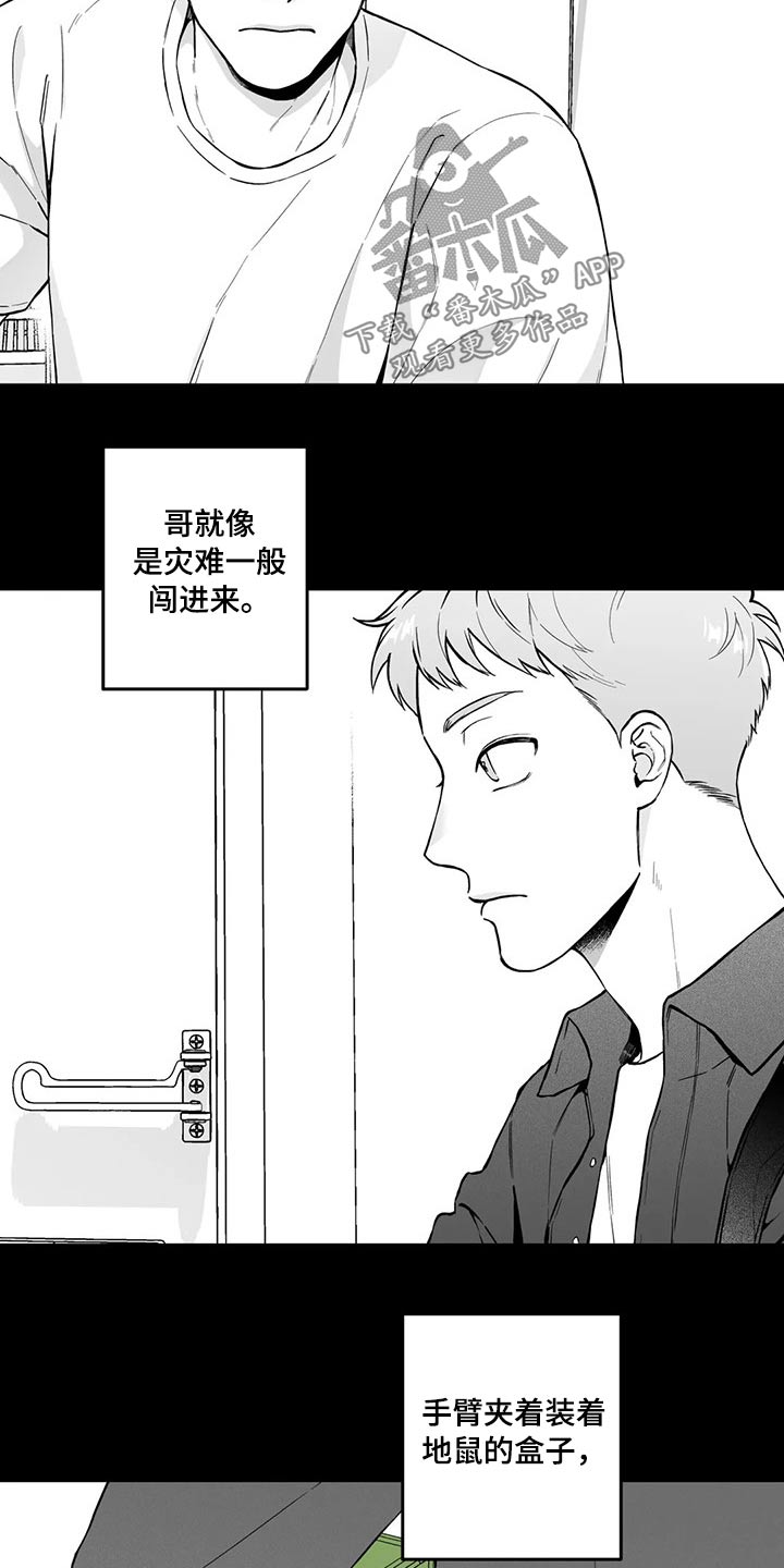 遗失的戒指漫画,第98章：【第二季】规则3图