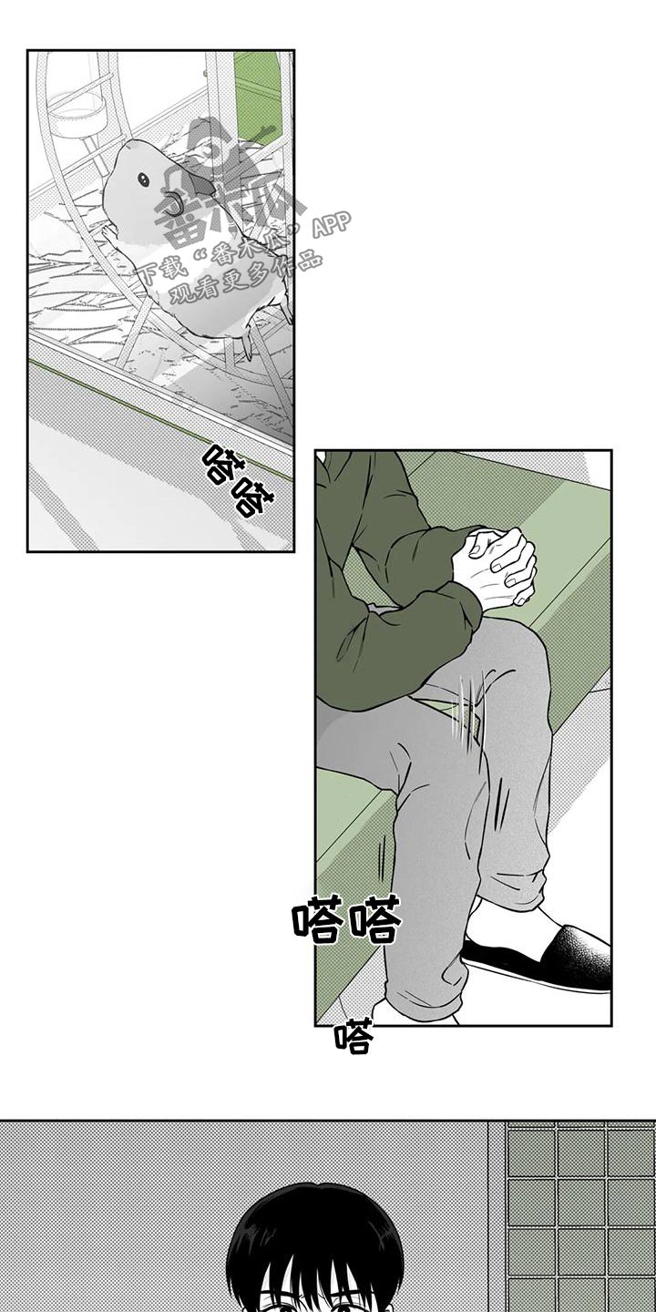 遗失的戒指漫画,第117章：【第二季】眼镜3图