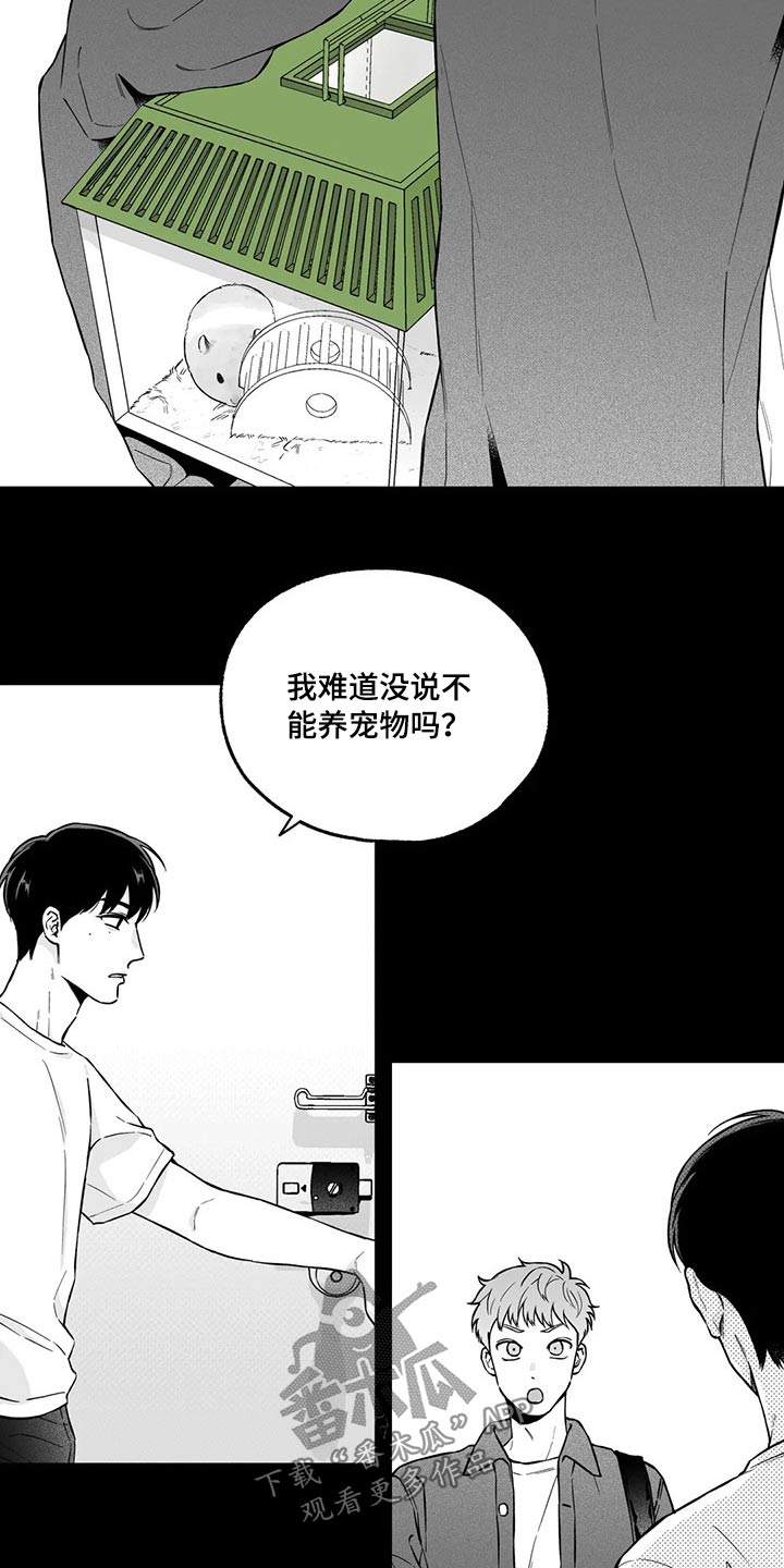 遗失的戒指漫画,第98章：【第二季】规则4图