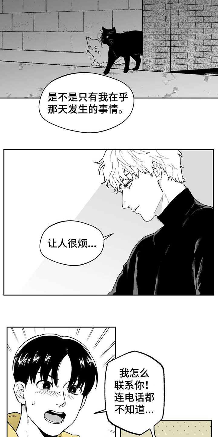 遗失的戒指漫画,第51章：【第二季】让人很烦3图