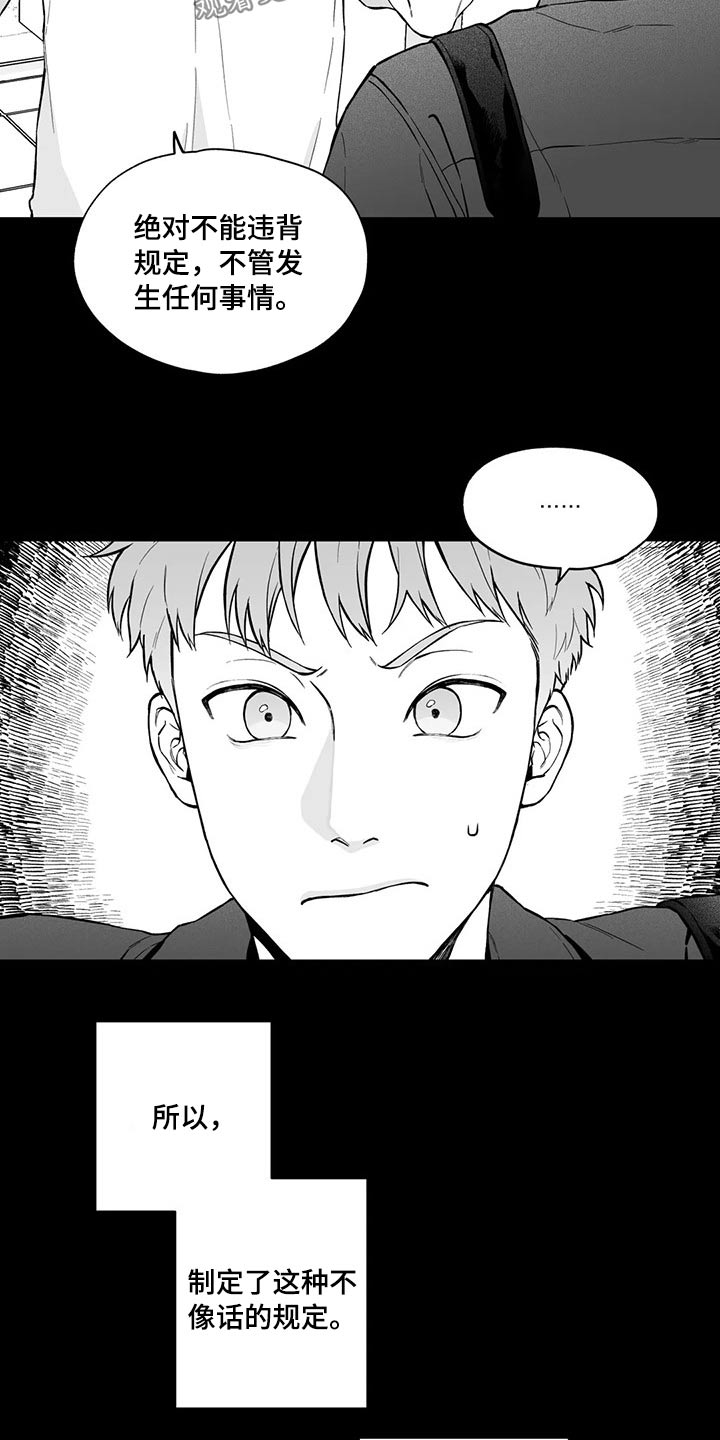 遗失的戒指漫画,第98章：【第二季】规则2图