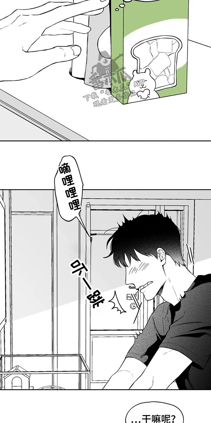 遗失的戒指漫画,第103章：【第二季】搬走4图
