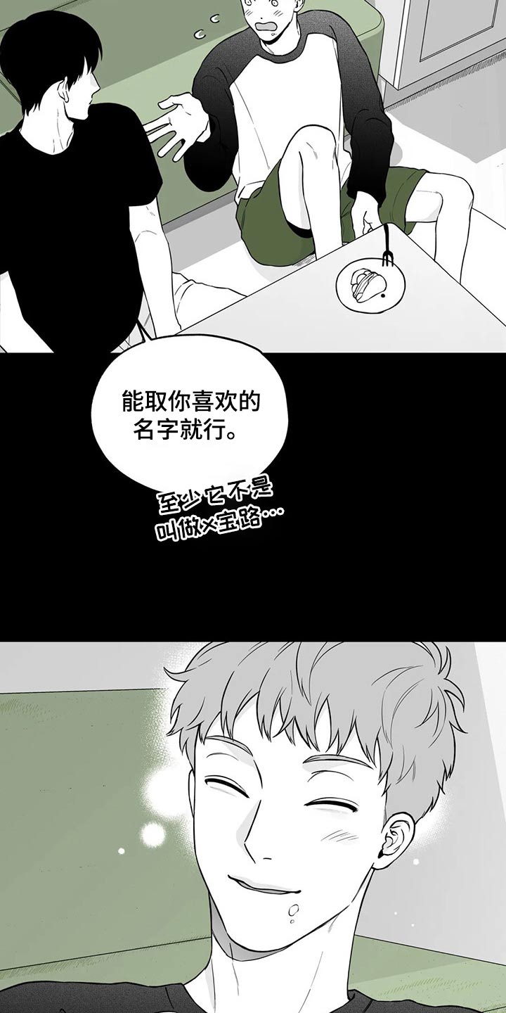 唐人街探案遗失的戒指漫画,第113章：【第二季】名字3图
