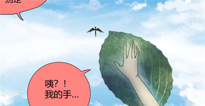 吸血鬼邻居漫画,第62章：天使大人1图