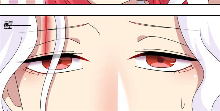 吸血鬼邻居漫画,第66章：给你创可贴1图