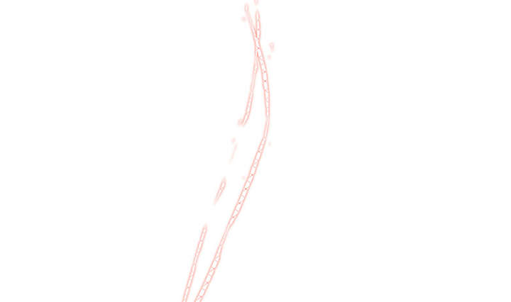 我的男友是明星漫画,第47章：我..也很想他3图