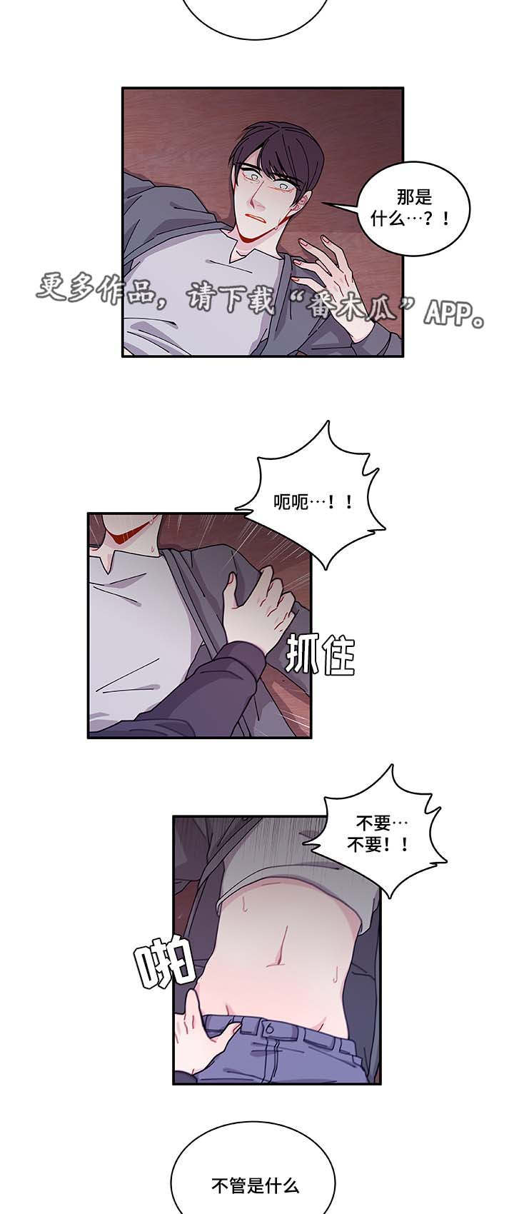连锁效应的影响漫画,第30章：求你不要5图