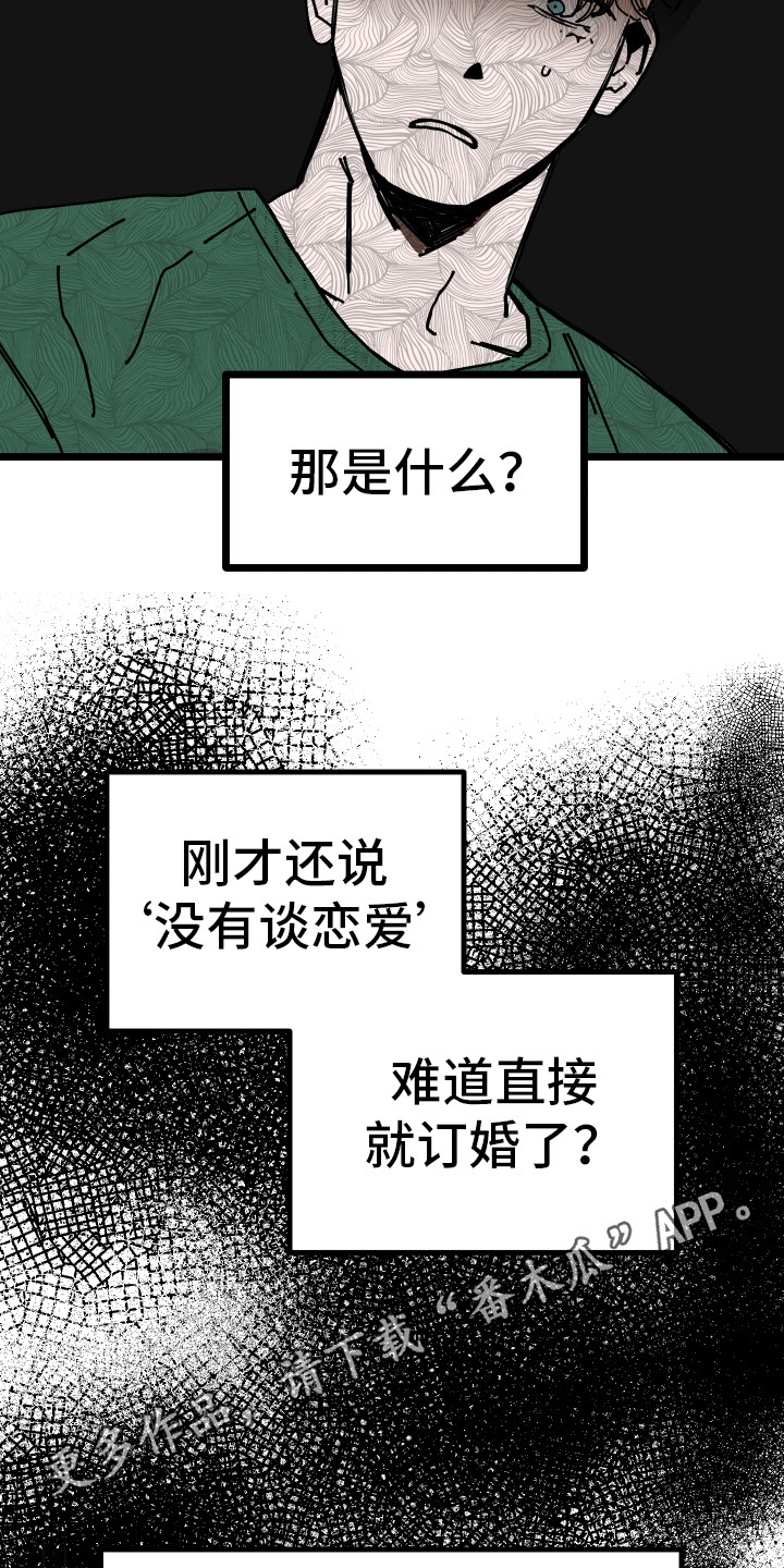 初恋理念漫画,第6章：说胡话4图