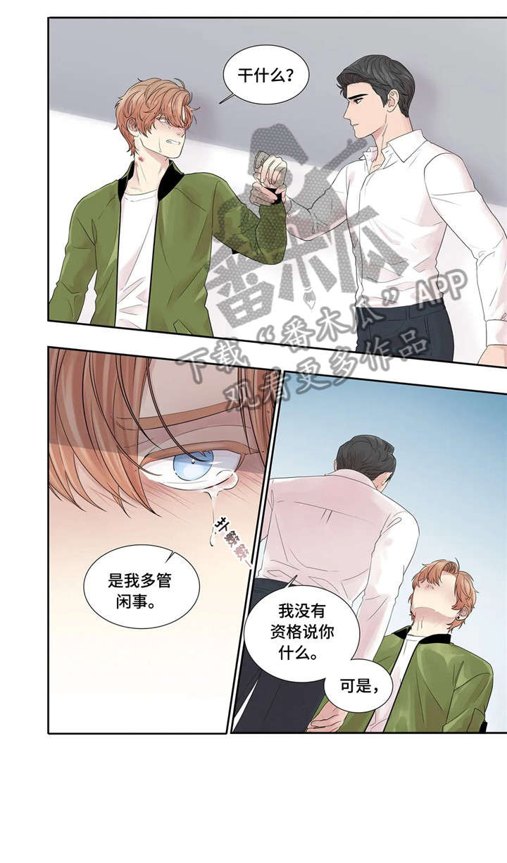 月光独舞视频漫画,第21章：消息3图