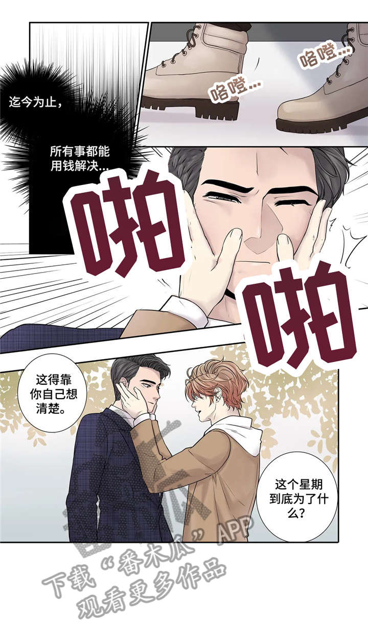 月光独奏短视频漫画,第16章：资料4图