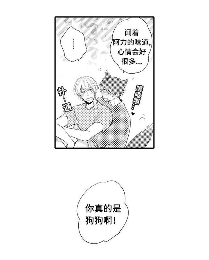 名片的定义漫画,第19章：解开误会3图