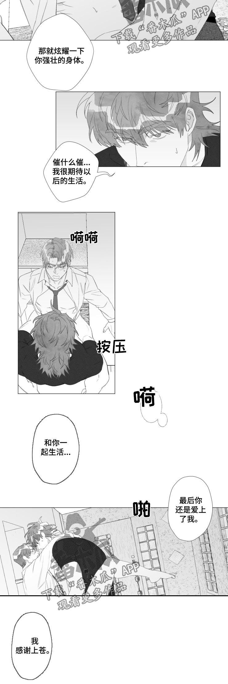 危险计划漫画,第51章：感谢上苍（完结）1图