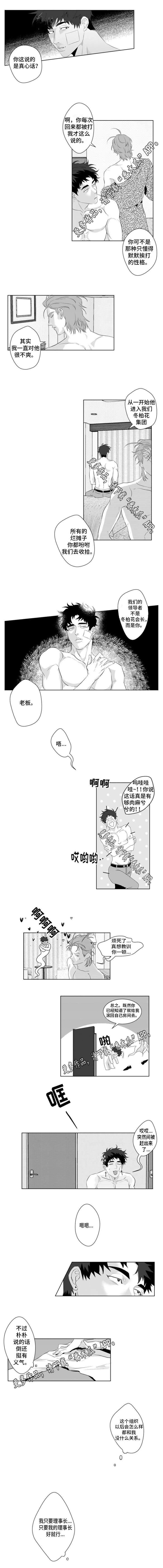 危险计划漫画,第17章：因为我喜欢你2图