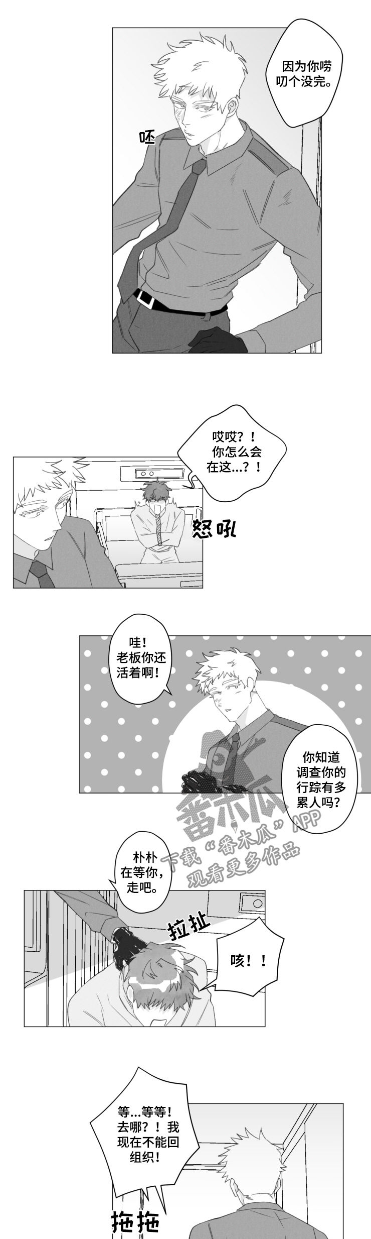 危险计划漫画,第44章：香饽饽3图
