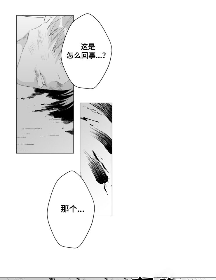 危险计划漫画,第42章：销声匿迹5图