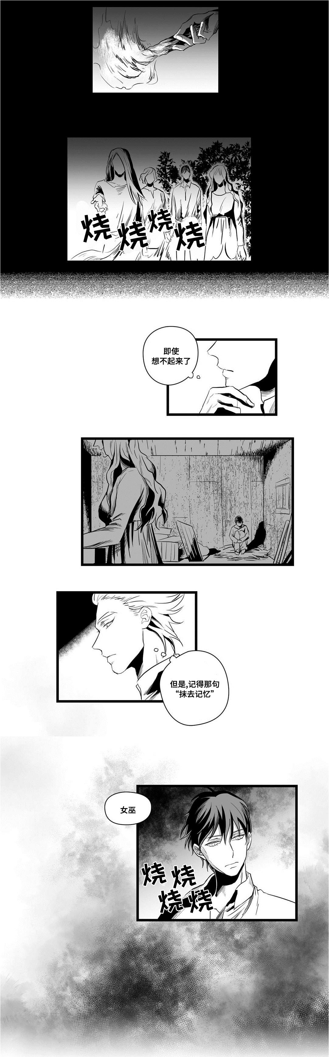 巫师与王子漫画,第4章：记忆5图