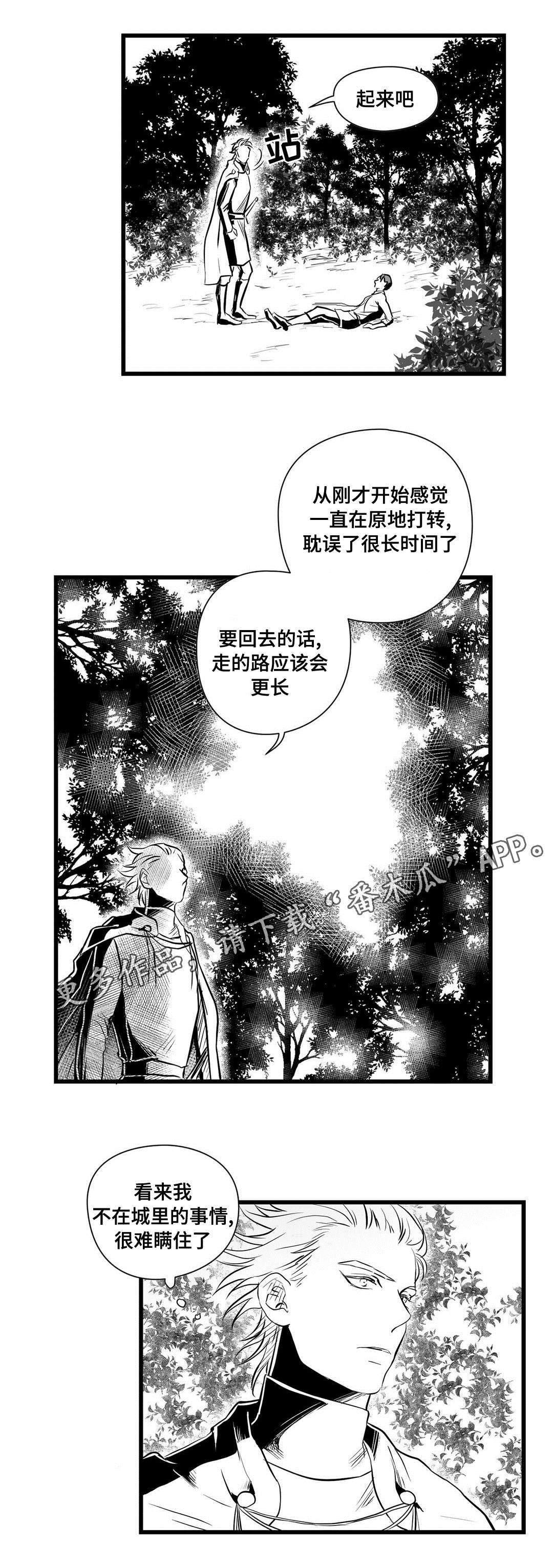 巫师与王子漫画,第28章：收获3图