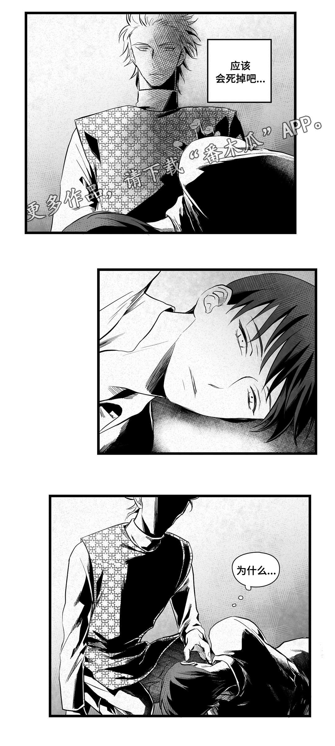 巫师与王子漫画,第36章：隐瞒着什么2图