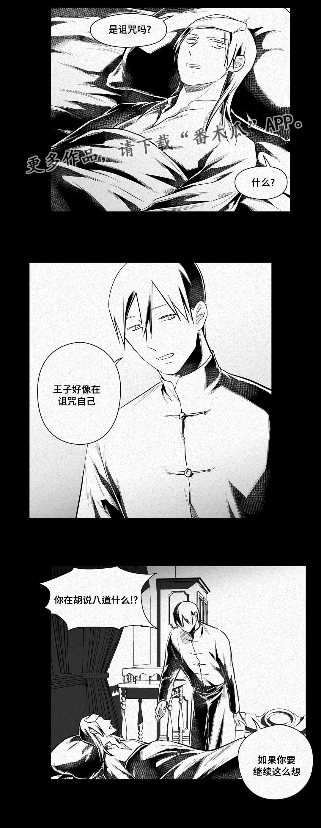 巫师与王子漫画,第46章：证言4图