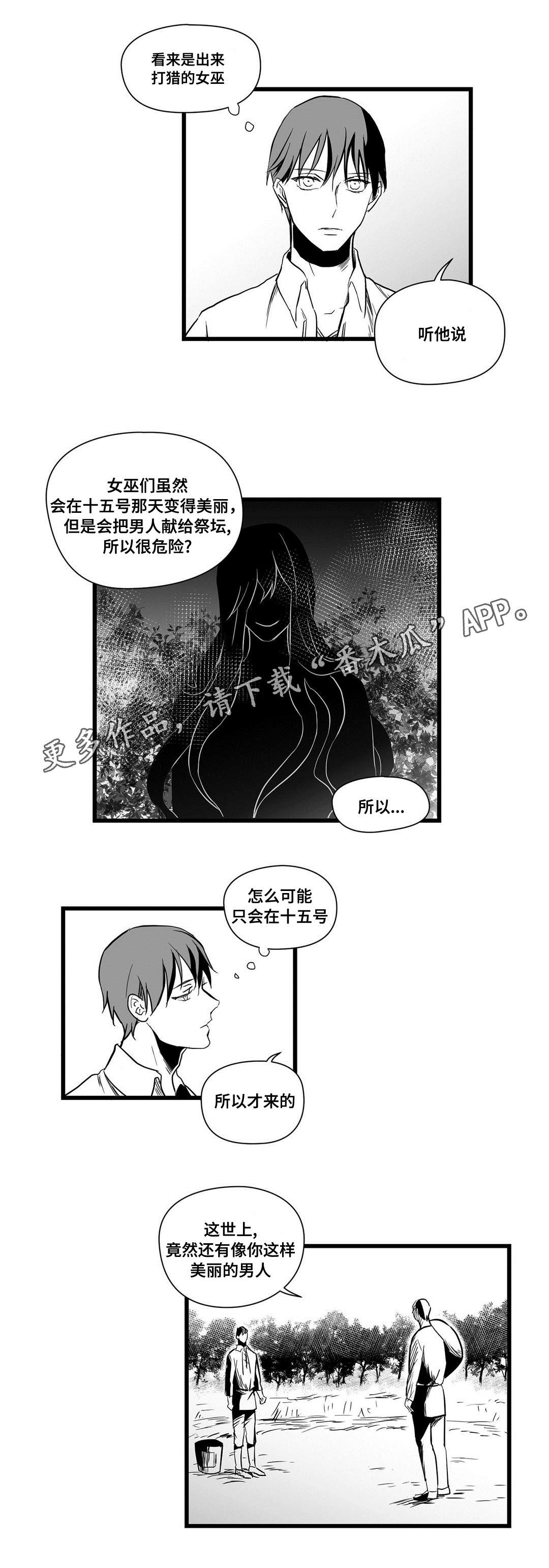 巫师与王子漫画,第19章：打猎3图