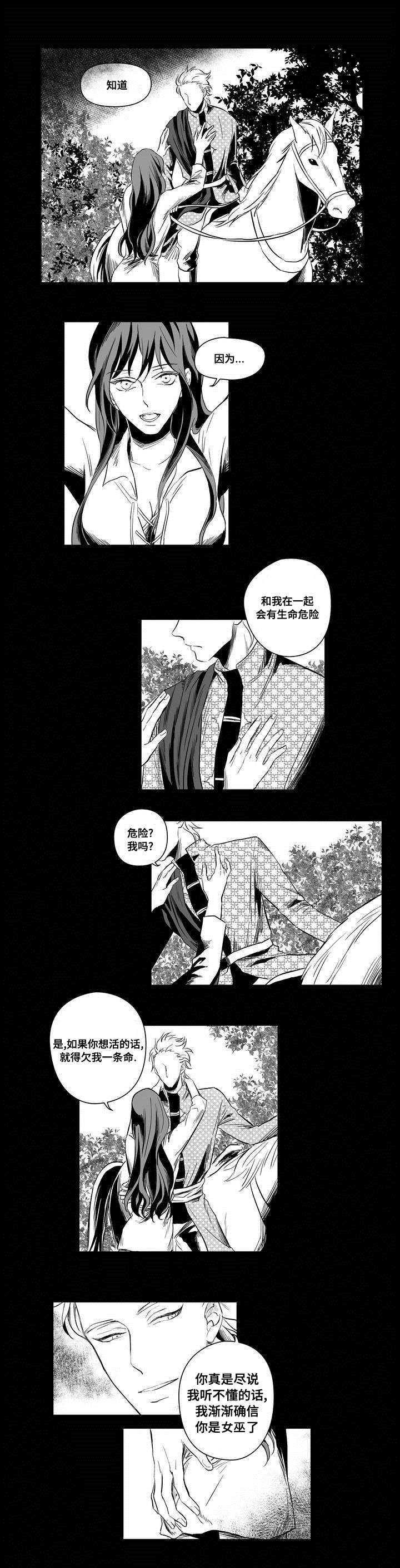 巫师与王子漫画,第2章：失踪的士兵2图