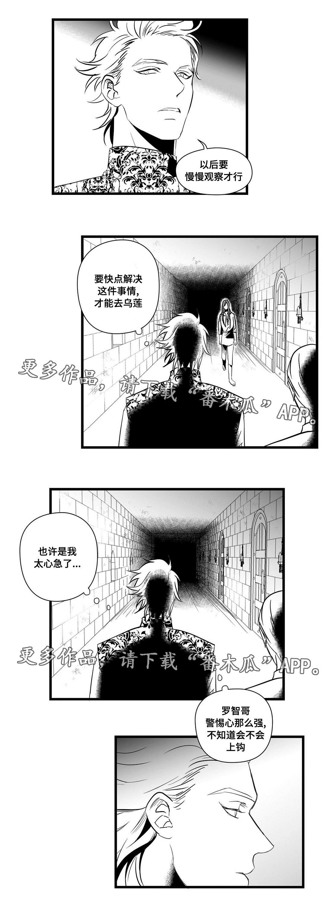 巫师与王子漫画,第21章：合作3图