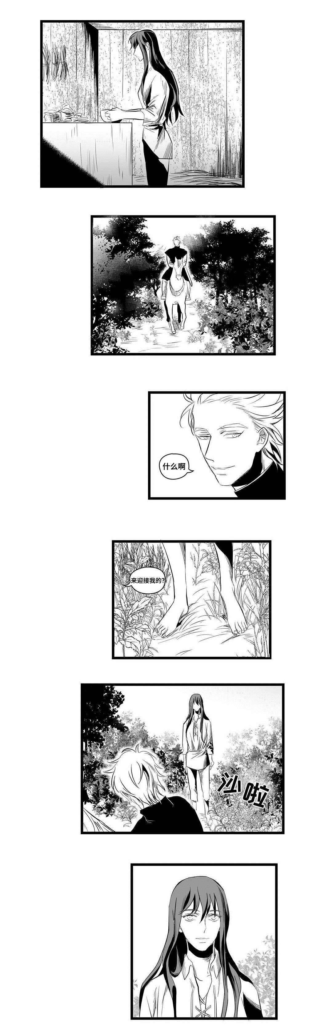 巫师与王子漫画,第5章：又来了1图