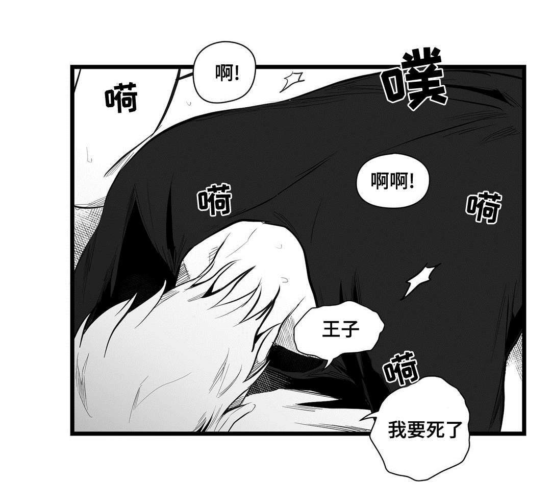巫师与王子漫画,第39章：喜欢你1图