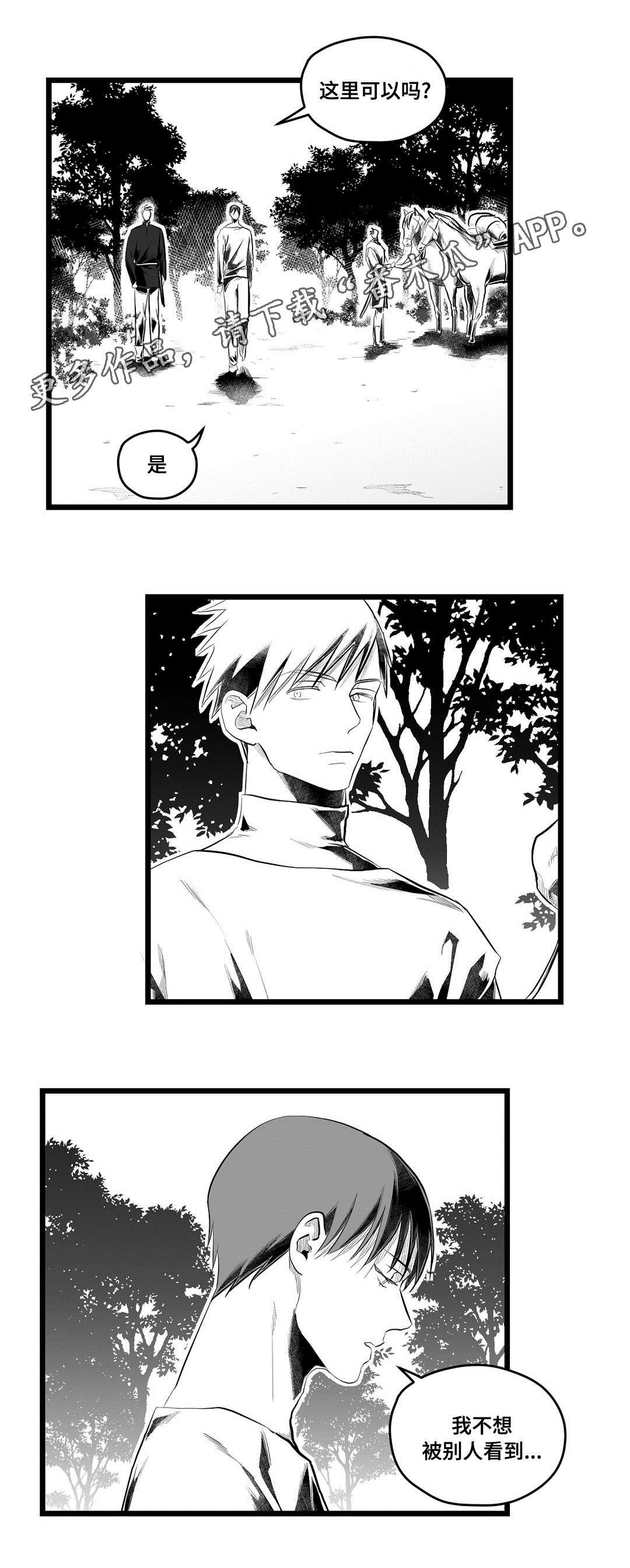 巫师与王子漫画,第84章：十五5图