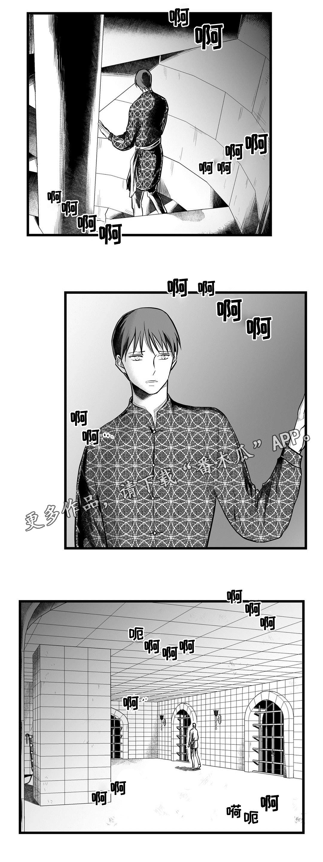 巫师与王子漫画,第50章：监狱1图