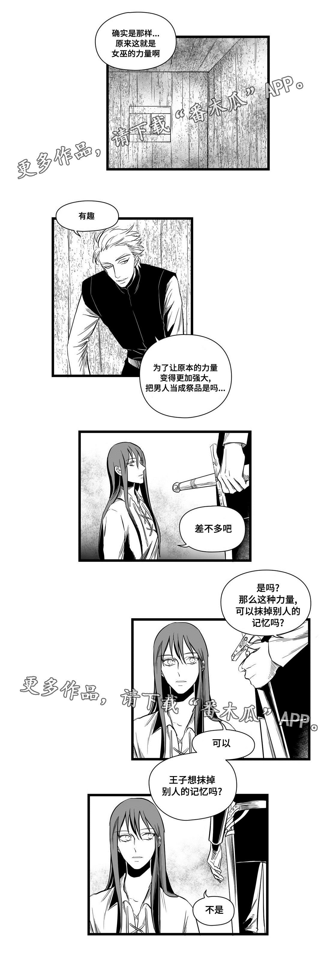 巫师与王子漫画,第10章：真面目1图