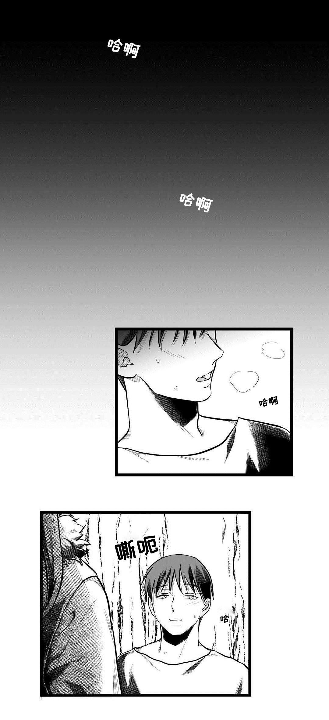 巫师与王子漫画,第60章：谢意1图