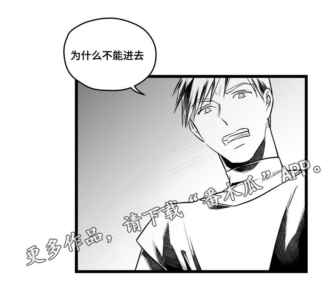巫师与王子漫画,第61章：好久不见2图