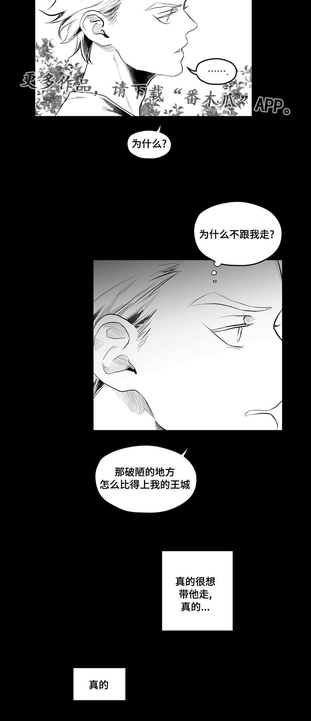巫师与王子漫画,第88章：带他走5图