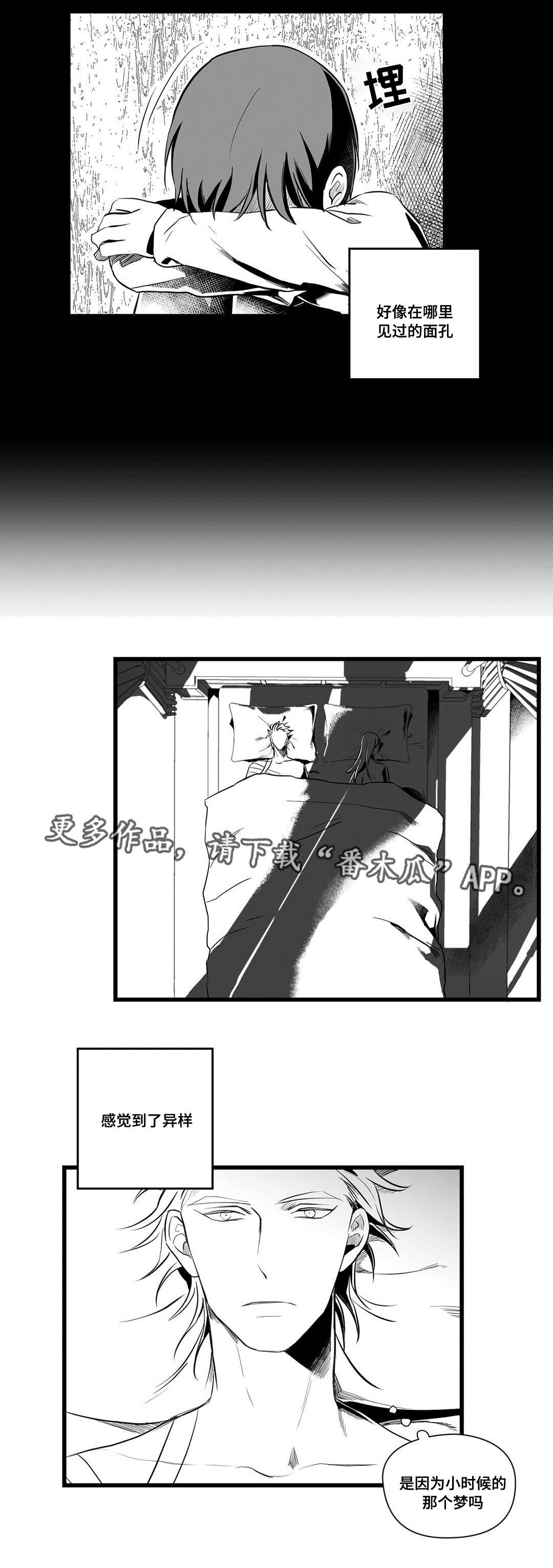 巫师与王子漫画,第36章：隐瞒着什么2图