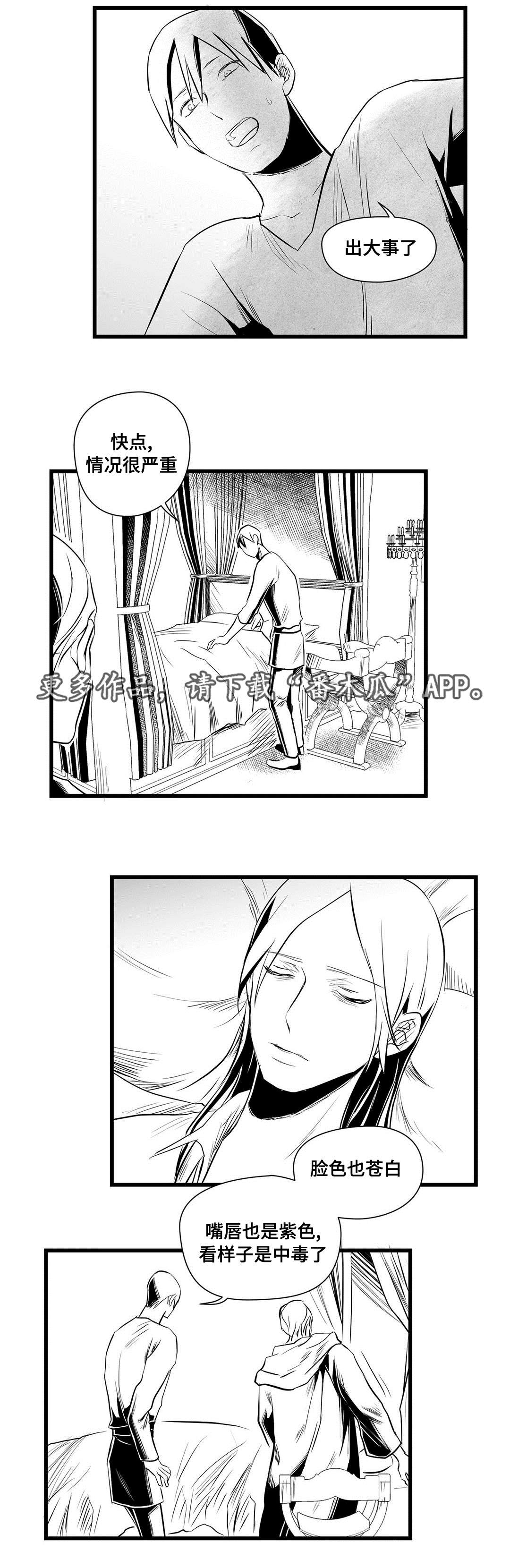 巫师与王子漫画,第32章：猜想4图