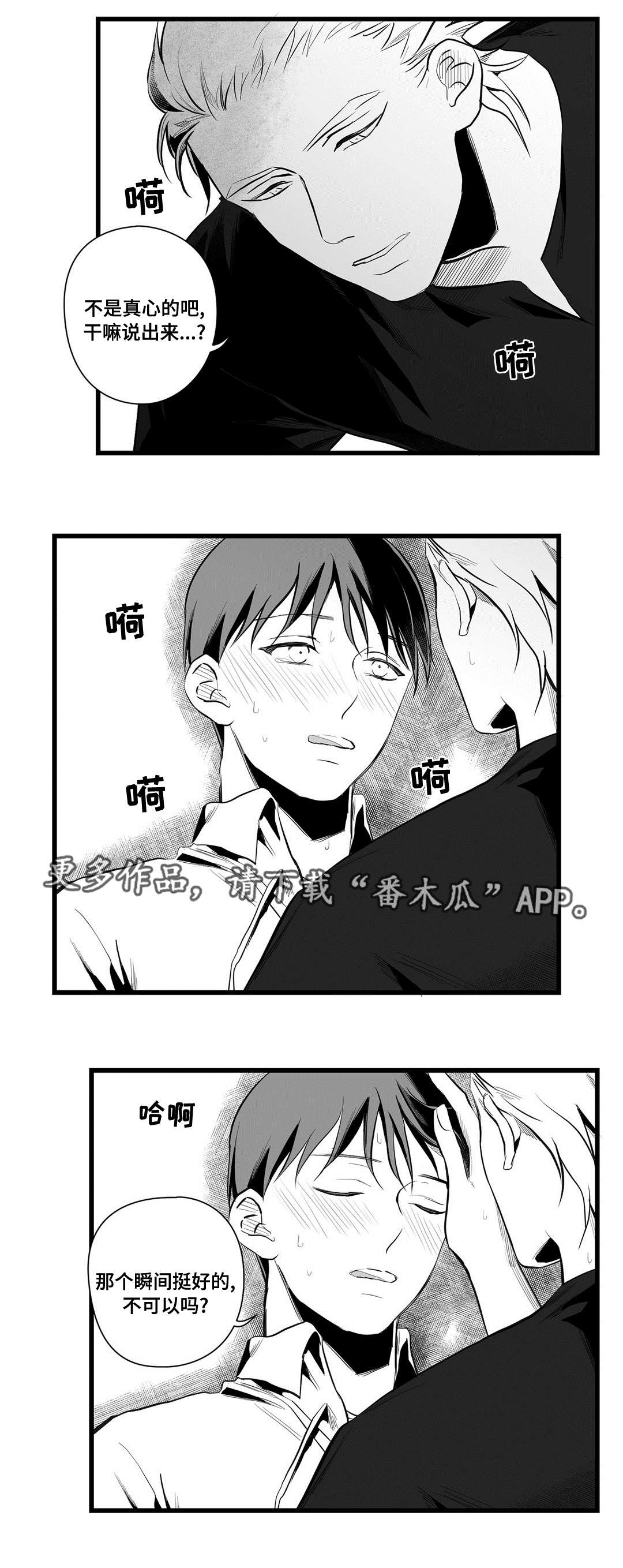 巫师与王子漫画,第39章：喜欢你3图