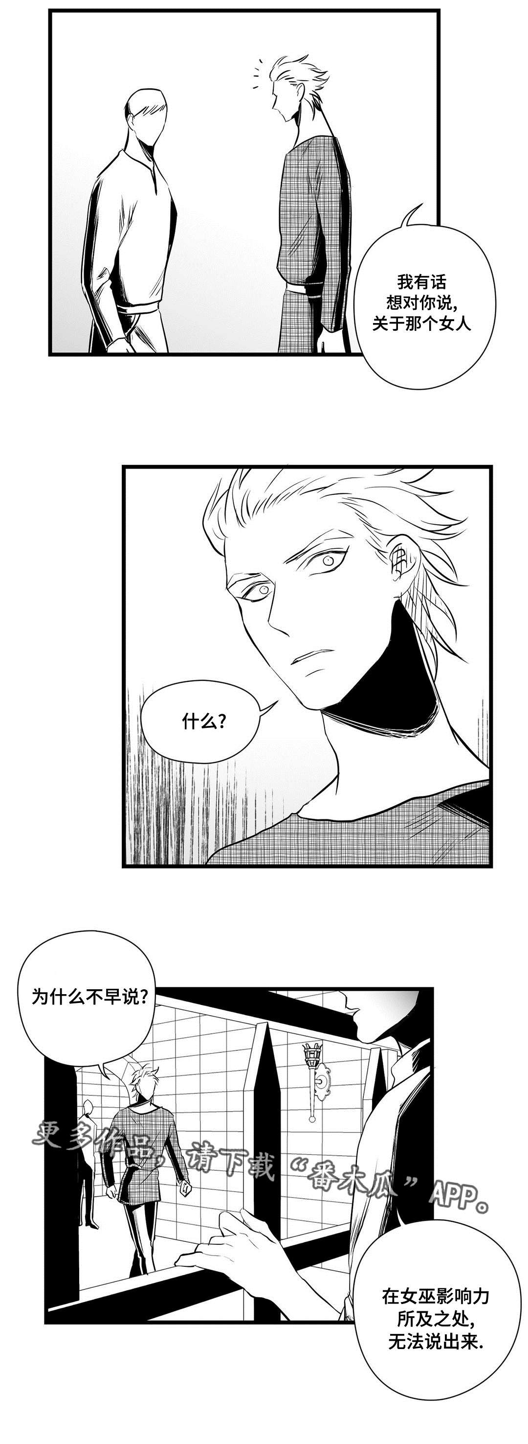 巫师与王子漫画,第31章：那个女人4图