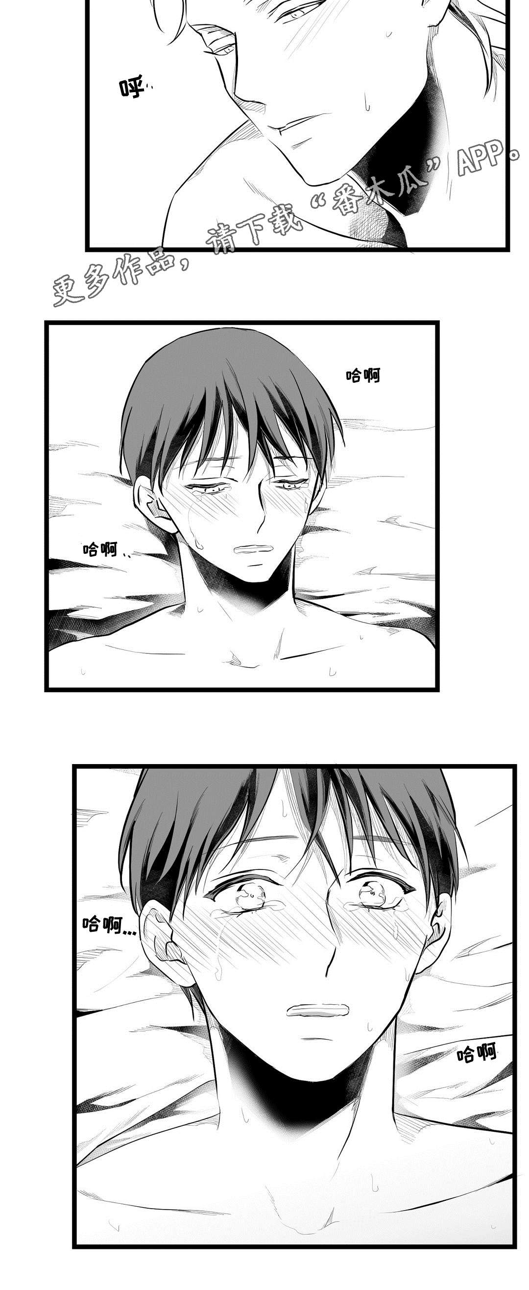 巫师与王子漫画,第69章：野心4图